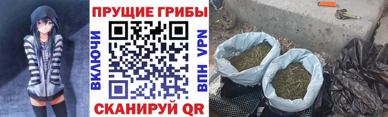 Галлюциногенные грибы GOLDEN TEACHER Микунь