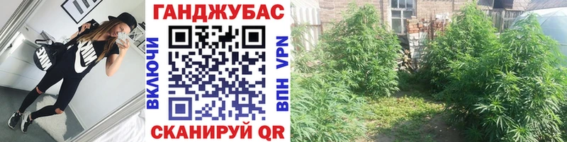 kraken сайт  как найти закладки  Микунь  Канабис конопля 